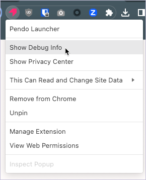 PendoLauncher_ShowDebugInfo.png
