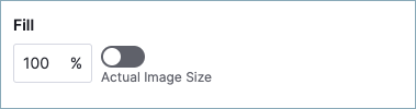Image size.png