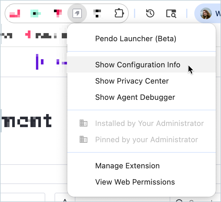 Launcher_ShowConfigurationInfo.png